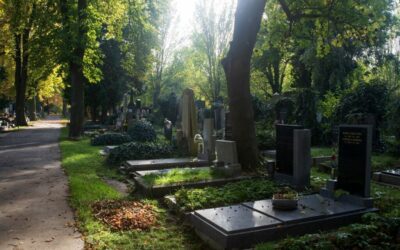 Komentované procházky v říjnu 2025