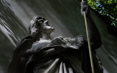 Komentované procházky v květnu 2025