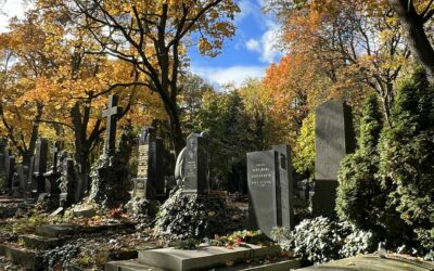 Komentované procházky v říjnu 2024