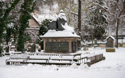 Komentované vycházky v lednu 2025