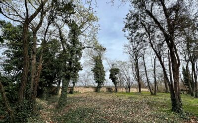 Soutěžní workshop na proměnu bývalého hřbitova Na Skalce v Praze 6 – Bubenči