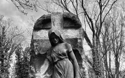 Komentované procházky v lednu 2024