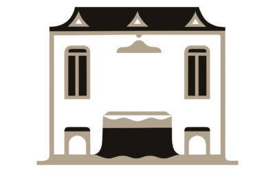 Když se řekne… pitva