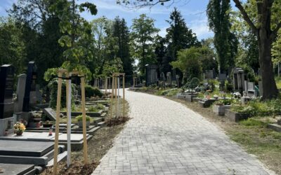Revitalizace cestní sítě na hřbitově Vršovice dokončena